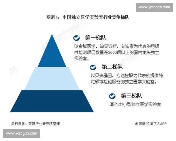 淬炼八年:中国各梯队外战的财富密码